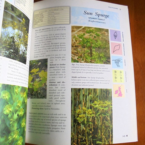 The Encyclopedia of Wild Flowers used, illustrated color guide