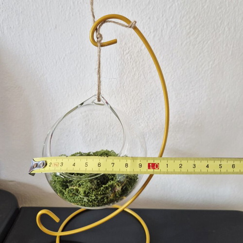 Terrarium decorative glass with moss on golden metal stand new
