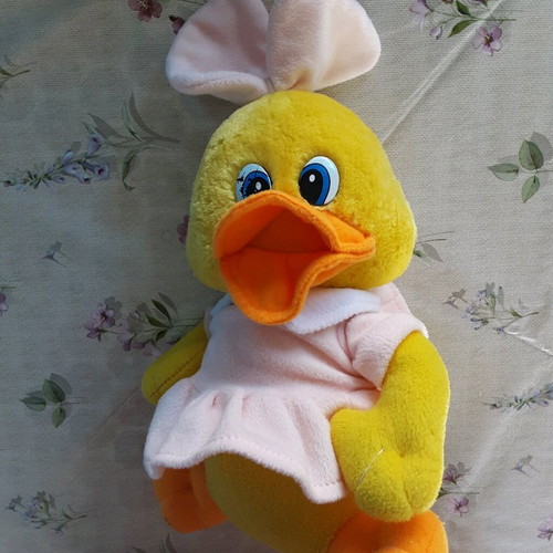 Plush duck used