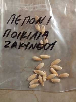 Σπόροι πεπονιού παραδοσιακής ποικιλίας Ζακύνθου, πακέτο 10, καινούργιοι