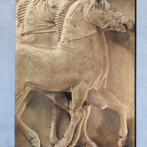 Delphi used English book by Basil Petrakos