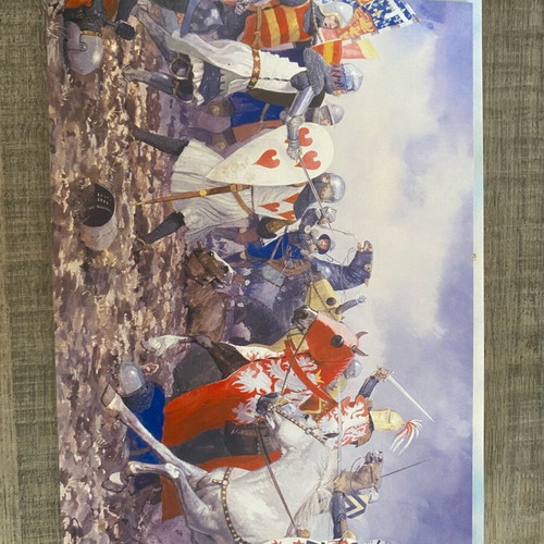 Osprey card postal set of 40 like new