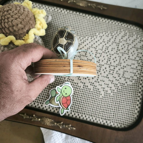 Collection of Handmade Turtle-Themed Items New