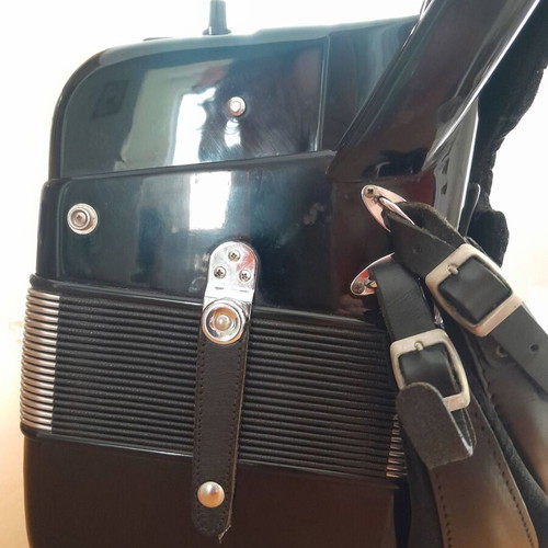 Victoria Professional A420V Accordion like new