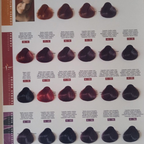 Nirvel professional hair color chart