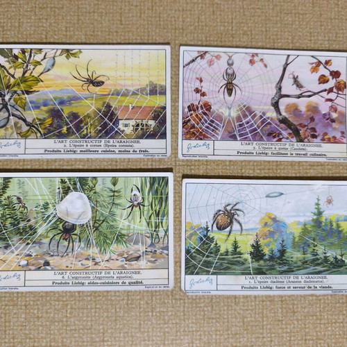 Liebig collectible spider cards like new, set of 4 vintage