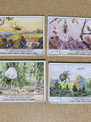Liebig collectible spider cards like new, set of 4 vintage