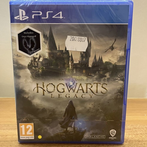 Hogwarts Legacy PS4 game