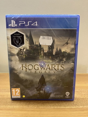 Hogwarts Legacy PS4 game