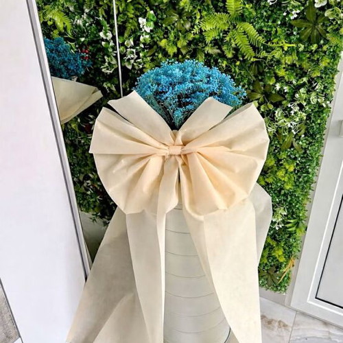Gypsophila bouquet new, huge 1.60 m
