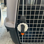 Dog carrier cage like new