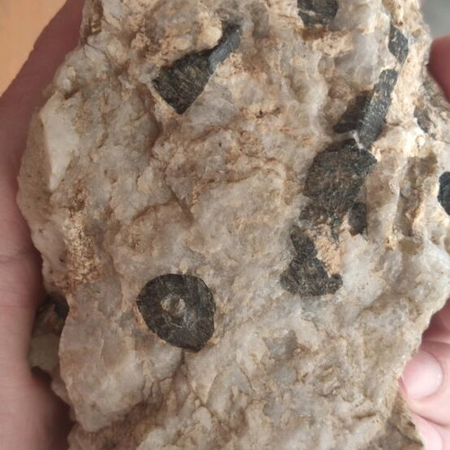 Tourmaline in pegmatite new, Greek collectible piece