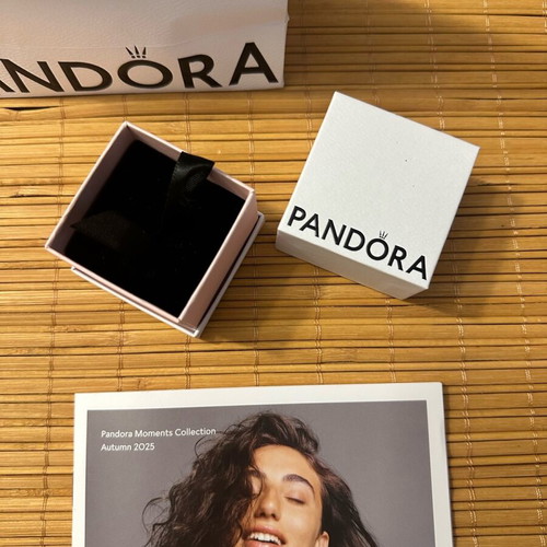 Pandora charm box and bag new