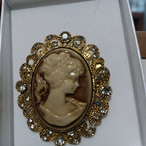 Cameo type vintage pin like new
