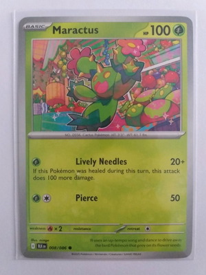 Pokemon Maractus Common Card new condition in sleeve