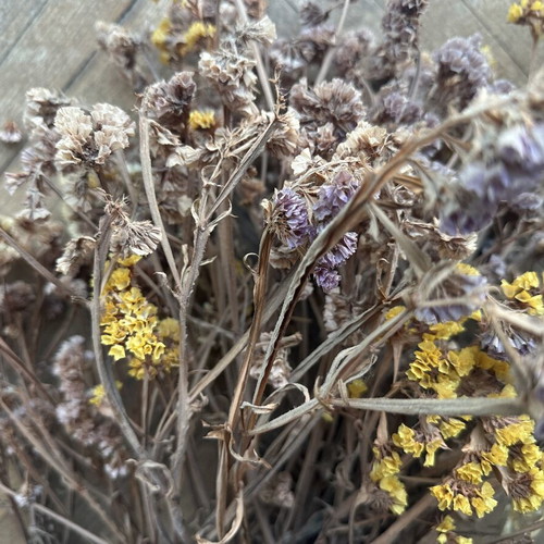 Dried flowers used