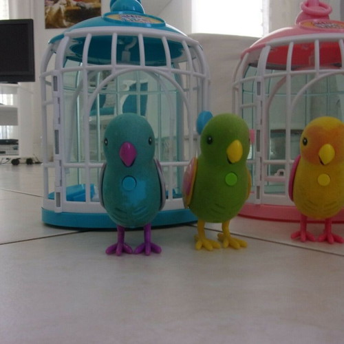 Little Live Pets 6 birds and cages