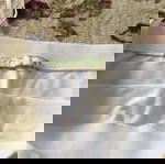  Ολόσωμη φόρμα PALM BSK σε M/L