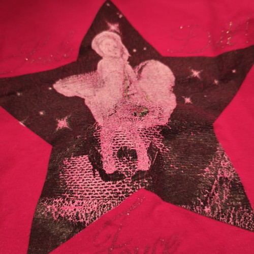 Girl's winter dress size 4 years used