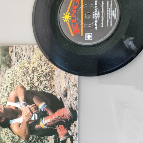 King Alone Without You I Kissed The Spikey Fridge 7" Single used, pop