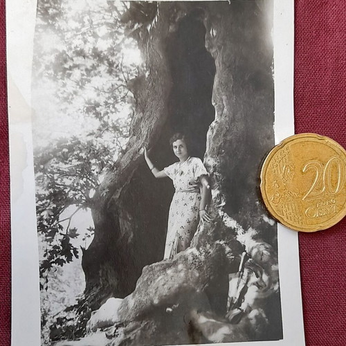 Vintage black and white photo of a woman portrait in tree, 1930s, like new