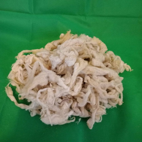 Sheep wool new, unprocessed and washed for knitting