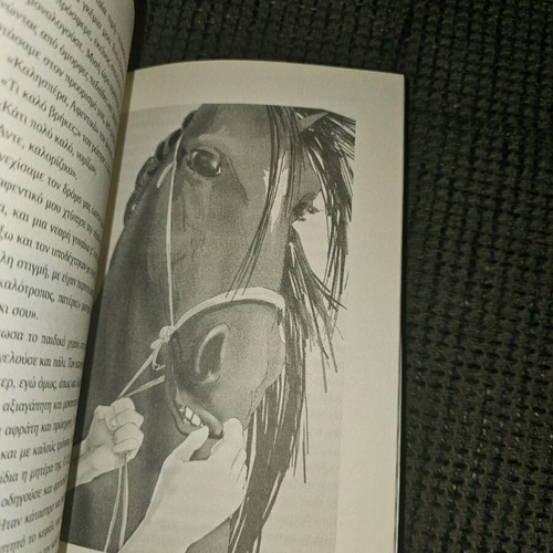The Black Beauty book in like new condition