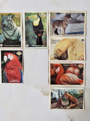 Chipita collectible stickers «Wild Jungle Animals» used, set of 7