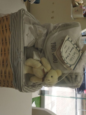 Newborn basket new, ideal gift