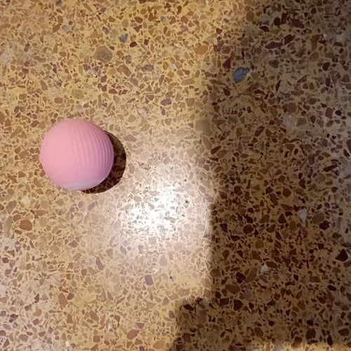 Cat toy new, sack with moving ball