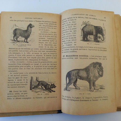 Premieres Notions de Sciences Physiques et Naturelles science book used 1901 French edition