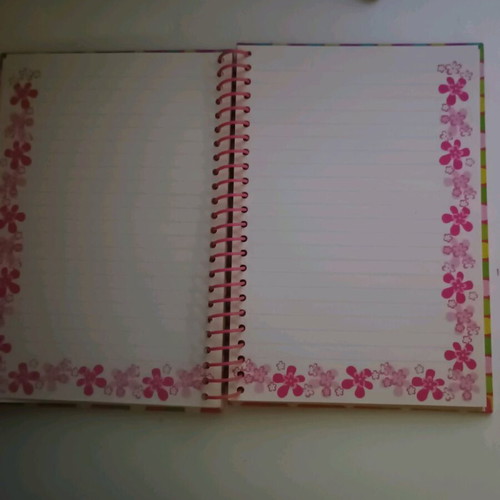 Patty notebook like new