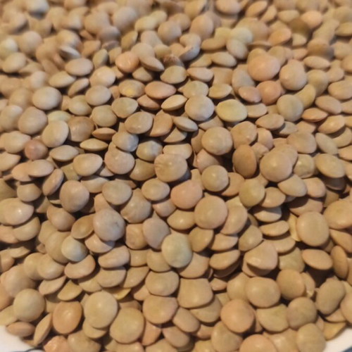 Greek lentils 2kg new from Voio Kozani