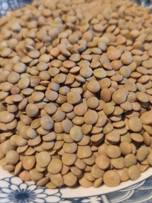 Greek lentils 2kg new from Voio Kozani