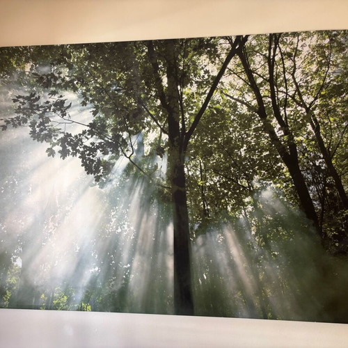 IKEA Wall Panel - Decorative Wall | BJÖRKSTA | 140 x 200 cm | “Morning in the Forest”