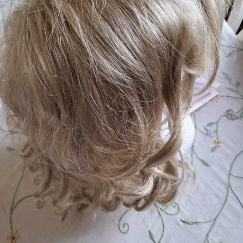 Paula Young wig new, unworn from America