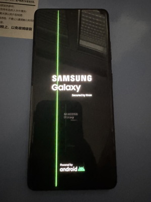 Samsung Galaxy S21 Ultra AMOLED screen used with minor defect