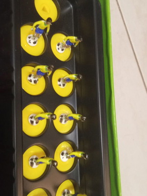 Subbuteo Hasbro Brasil παίχτης #410 μεταχειρισμένος, λυγισμένος, χωρίς τερματοφύλακα