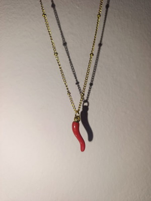 Necklace with red chili pepper pendant new