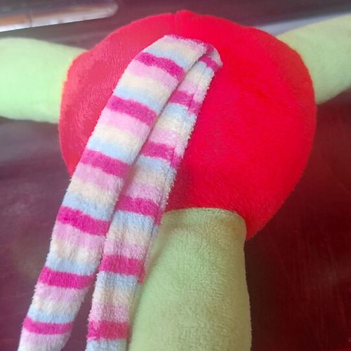 Plush Toy with Music like new