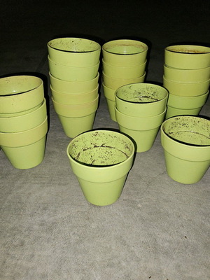Green flower pots used, pack of 20, height 10 cm