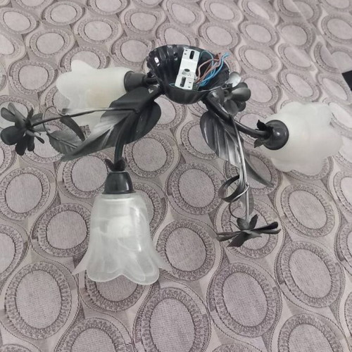 Ceiling light used