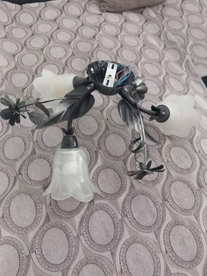 Ceiling light used