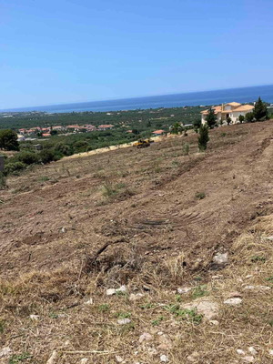 Αγροτεμάχιο 9.200 τ.μ. οικοδομήσιμο στην Κυπαρισσία Μεσσηνίας με θέα