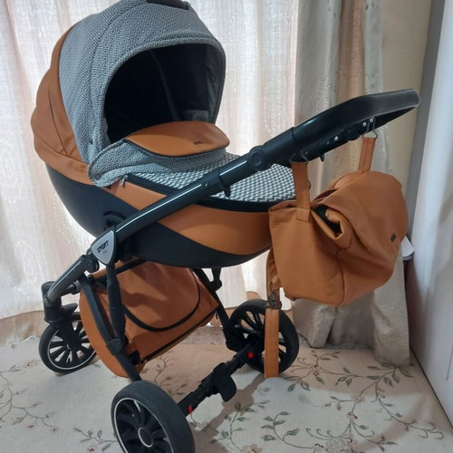 Anex Sport Deluxe Foxy stroller with car seat used