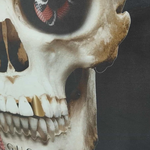Skull painting with snakes used 59x39