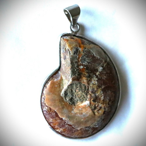 Fossil Ammonite Pendants pack of 10, handmade, 925 sterling silver