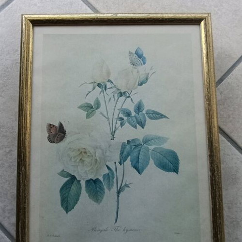 Flower frames set of 8, like new, 24x31.5 cm
