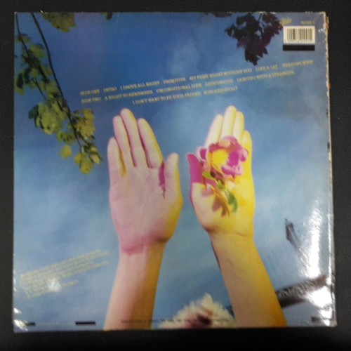 Cyndi Lauper A Night To Remember vinyl used