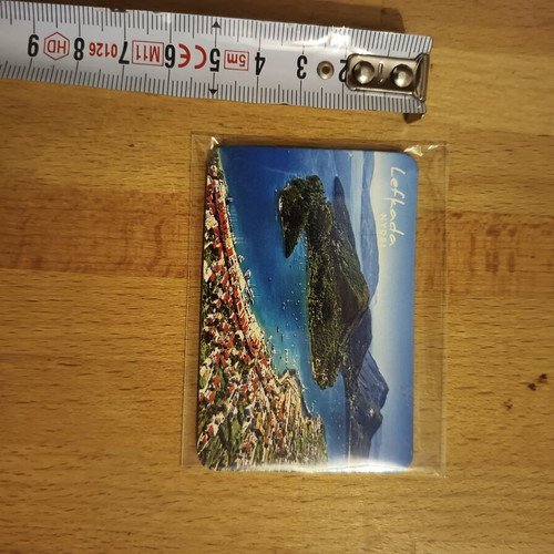 Lefkada Nydri souvenir magnet new, sealed